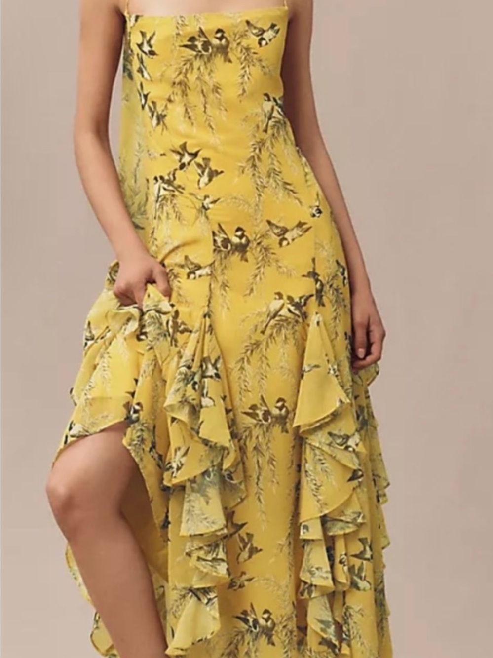 Anthropologie BHLDN Chiffon Ruffle Bird Print Maxi Dress